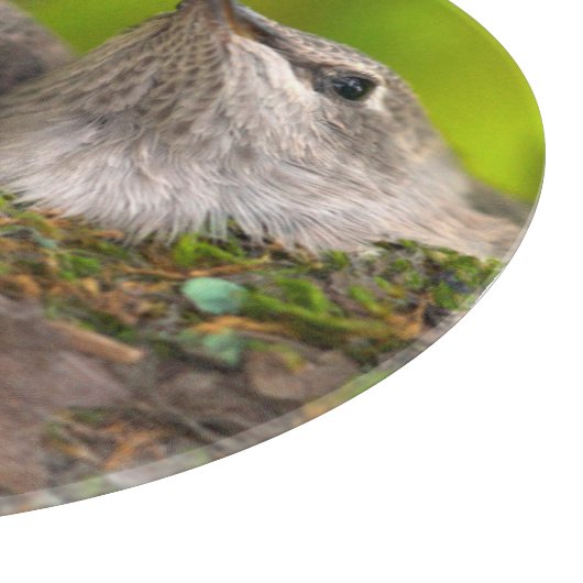 Hummingvögel Schneidebrett (Ecke)