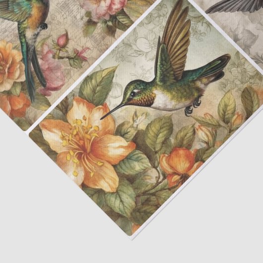 Hummingvögel Seidenpapier (Ausschnitt)