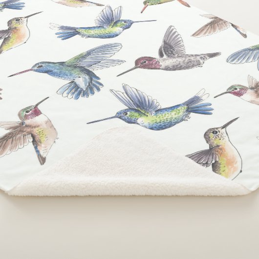 Hummingvögel Sherpadecke (3/4)