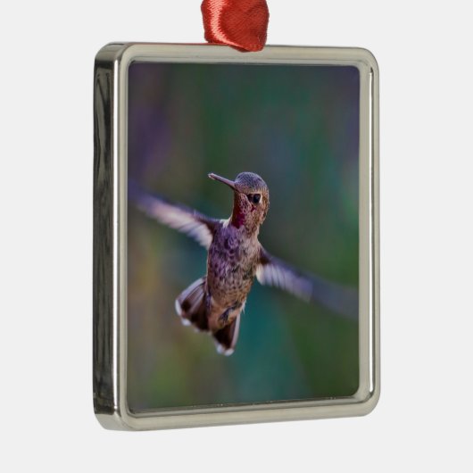 Hummingvogel Silbernes Ornament (Rechts)