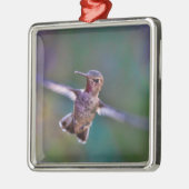Hummingvogel Silbernes Ornament (Links)
