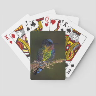 Hummingvogel Spielkarten