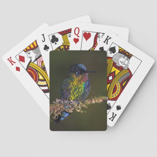 Hummingvogel Spielkarten (Rückseite)