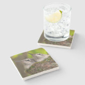 Hummingvögel Steinuntersetzer (Seitenansicht)