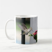 Hummingvogel, Tasse (Links)