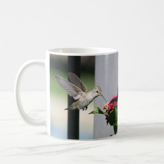 Hummingvogel, Tasse (Links)