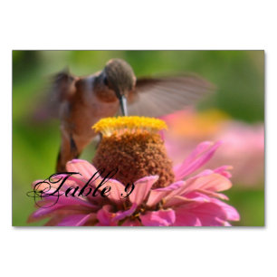 Hummingvogel Tischnummer