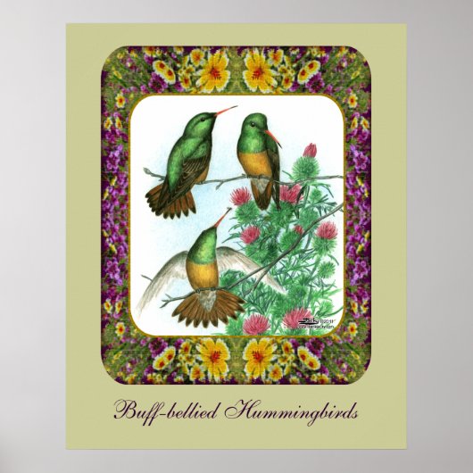 Hummingvögel und Blume #1 Poster (Vorne)
