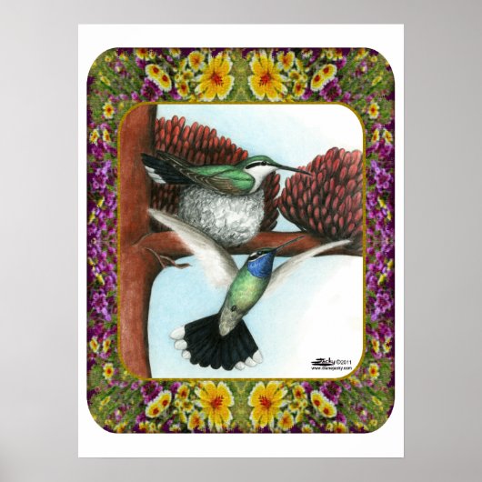 Hummingvögel und Blume #3 Poster (Vorne)