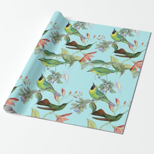 Hummingvögel und Blume auf hellgrün Geschenkpapier (Ungerollt)