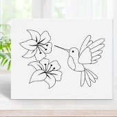 Hummingvogel und Blume - Farbseite Poster