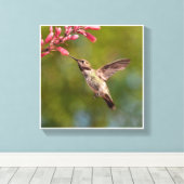 Hummingvogel und Blume Leinwanddruck (Insitu (Holzboden))