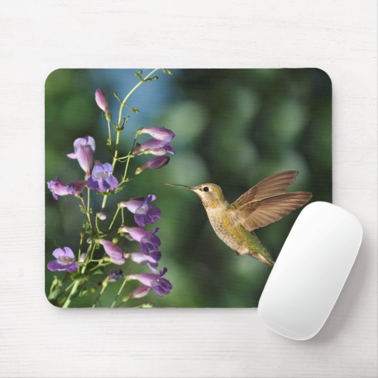 Hummingvogel und Blume Mousepad (Mit Mouse)