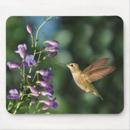 Hummingvogel und Blume Mousepad