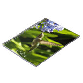 Hummingvogel und Blume Natur Foto Notizblock (Linke Seite)