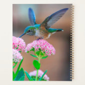 Hummingvogel und Blume Planer (Rückseite)