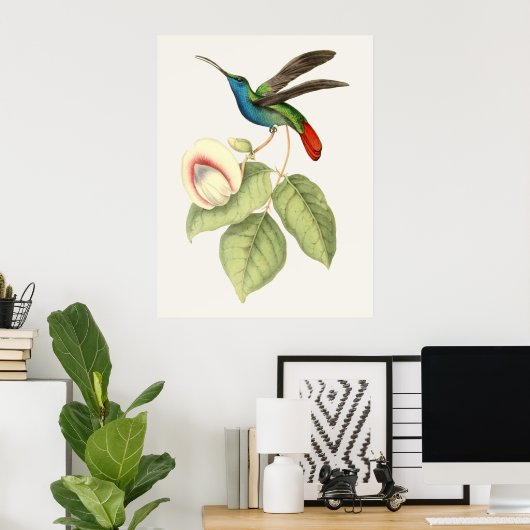 Hummingvogel und Blume Poster (Heimbüro)