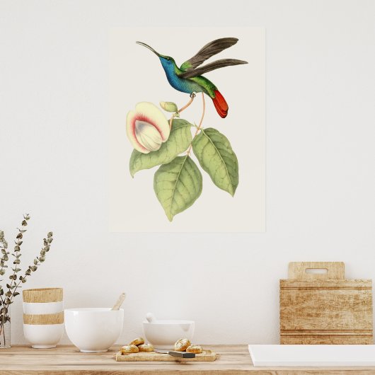 Hummingvogel und Blume Poster (Küche)