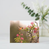 Hummingvogel und Blume Postkarte (Stehend Vorderseite)