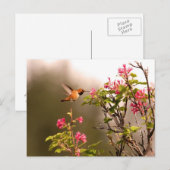 Hummingvogel und Blume Postkarte (Vorne/Hinten)