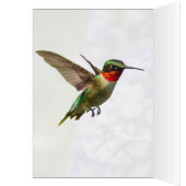 Hummingvogel und Delphinium (Innen (Links))