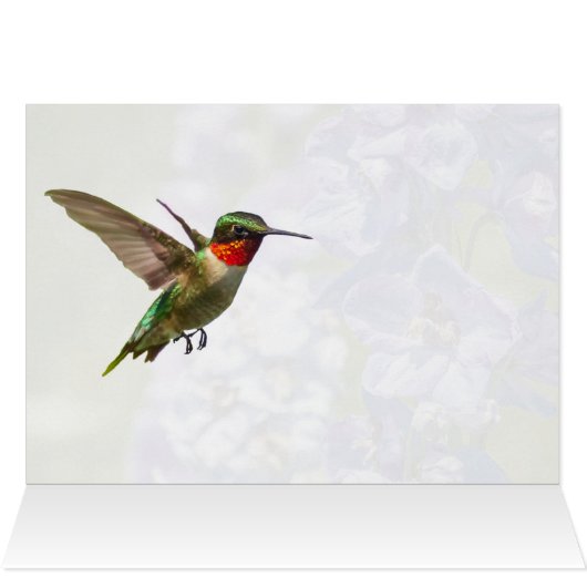 Hummingvogel und Delphinium (Innenansicht Horizontal (Oben))