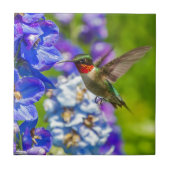 Hummingvogel und Delphinium Fliese (Vorderseite)