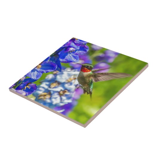 Hummingvogel und Delphinium Fliese (Seite)
