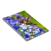 Hummingvogel und Delphinium Notizblock (Rechte Seite)
