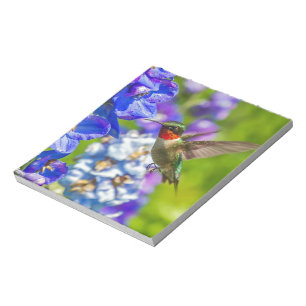 Hummingvogel und Delphinium Notizblock