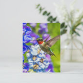 Hummingvogel und Delphinium Postkarte (Stehend Vorderseite)