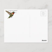 Hummingvogel und Delphinium Postkarte (Rückseite)