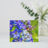 Hummingvogel und Delphinium Postkarte (Stehend Vorderseite)