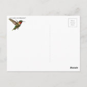 Hummingvogel und Delphinium Postkarte (Rückseite)