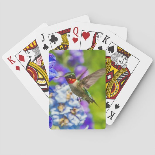 Hummingvogel und Delphinium Spielkarten (Rückseite)