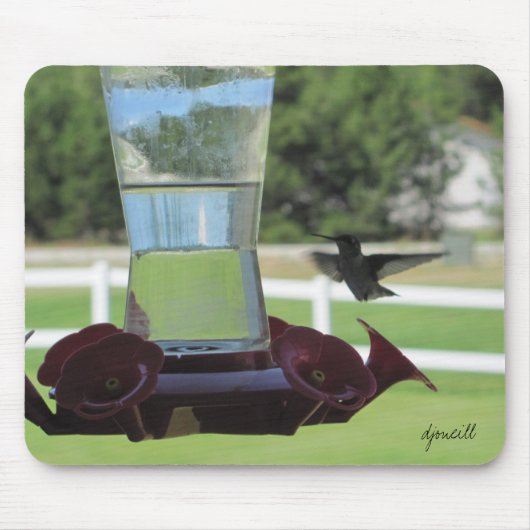 Hummingvogel und Feeder Mousepad (Vorne)