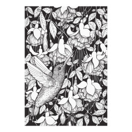 Hummingvogel und Fuchsie Fotodruck