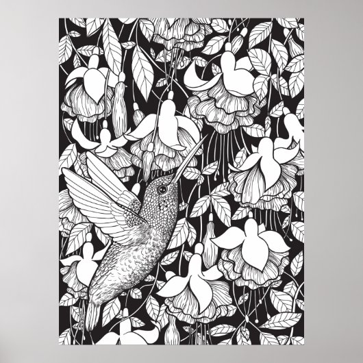 Hummingvogel und Fuchsie Poster (Vorne)