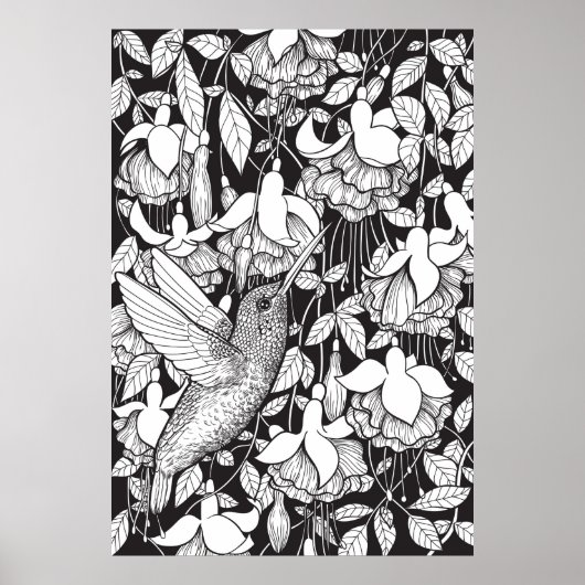 Hummingvogel und Fuchsie Poster (Vorne)