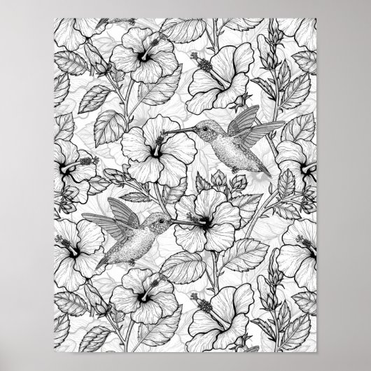 Hummingvögel und Hibiskus Blume b&w Poster (Vorne)