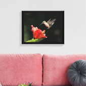 Hummingvogel und Hibiskus Leinwanddruck (Insitu (Wohnzimmer))