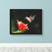 Hummingvogel und Hibiskus Leinwanddruck (Insitu (Holzboden))