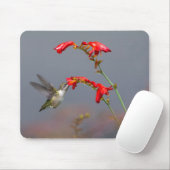 Hummingvogel und Krokodilmie Mousepad (Mit Mouse)