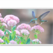 Hummingvogel und Nektar Aufkleber (Vorderseite)