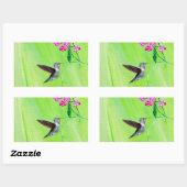 Hummingvogel und Platterbsen Malerei Rechteckiger Aufkleber (Blatt)