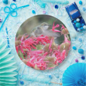 Hummingvogel und rosa Blume Pappteller (Party)