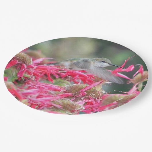 Hummingvogel und rosa Blume Pappteller (Schrägansicht)