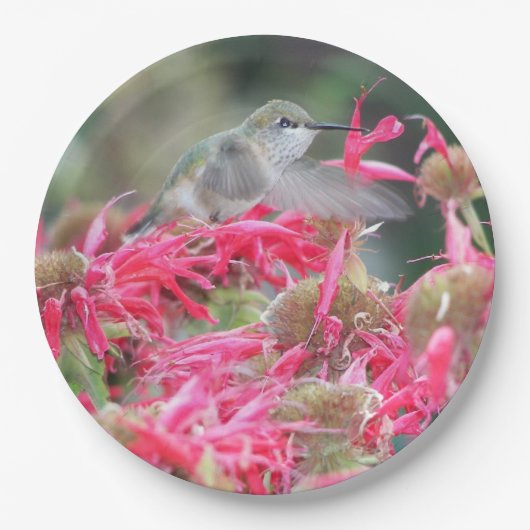 Hummingvogel und rosa Blume Pappteller (Vorderseite)
