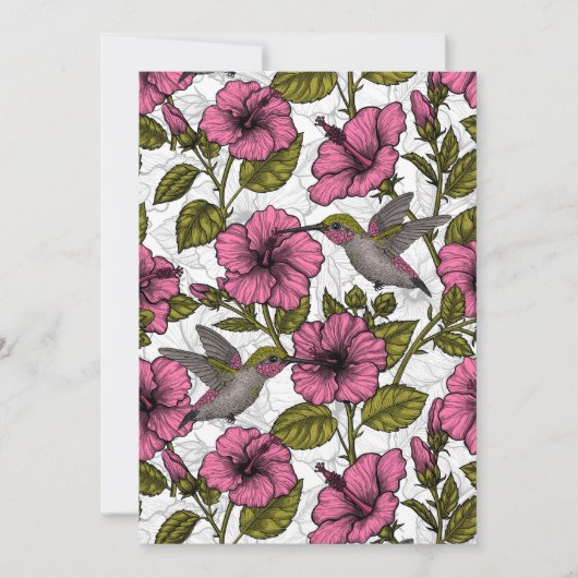 Hummingvögel und rosa Hibiskus Blume (Vorderseite)