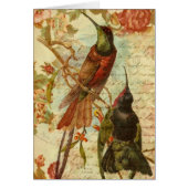 Hummingvögel und Rose Alle Mitleid (Vorne)